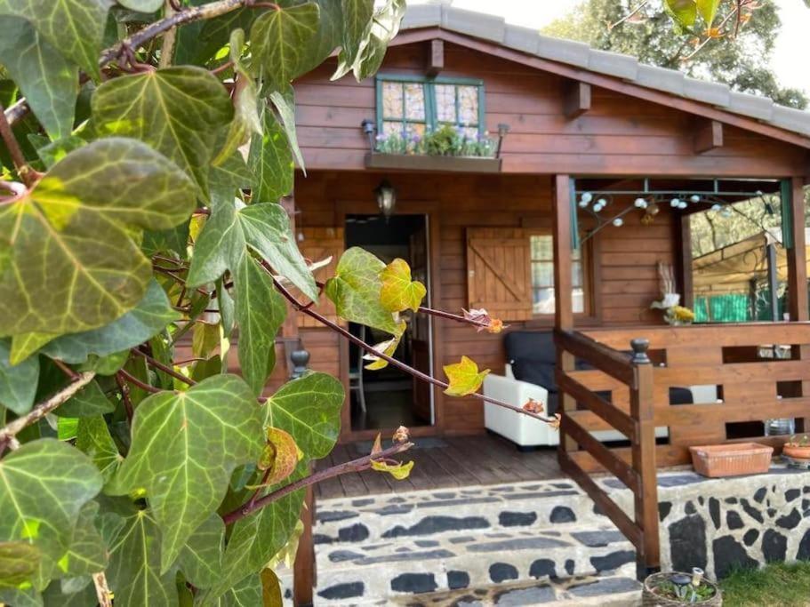 Albalate De Zorita Desconexion Y Paz, Cabana En La Sierra מראה חיצוני תמונה