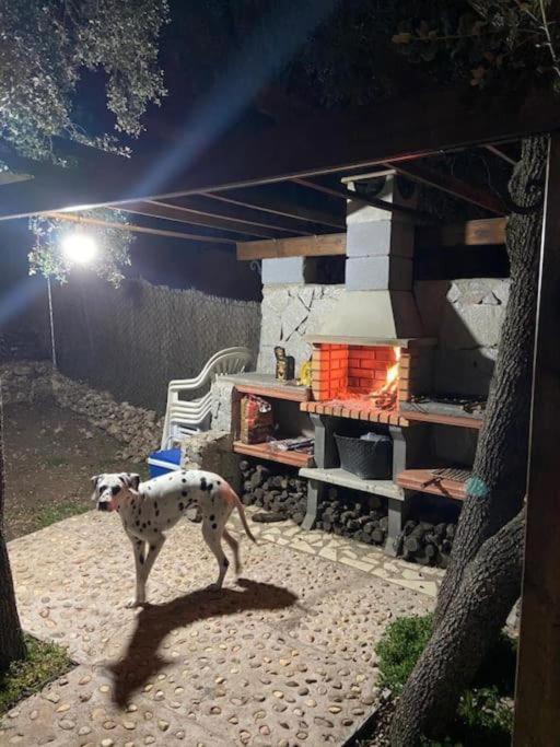 Albalate De Zorita Desconexion Y Paz, Cabana En La Sierra מראה חיצוני תמונה